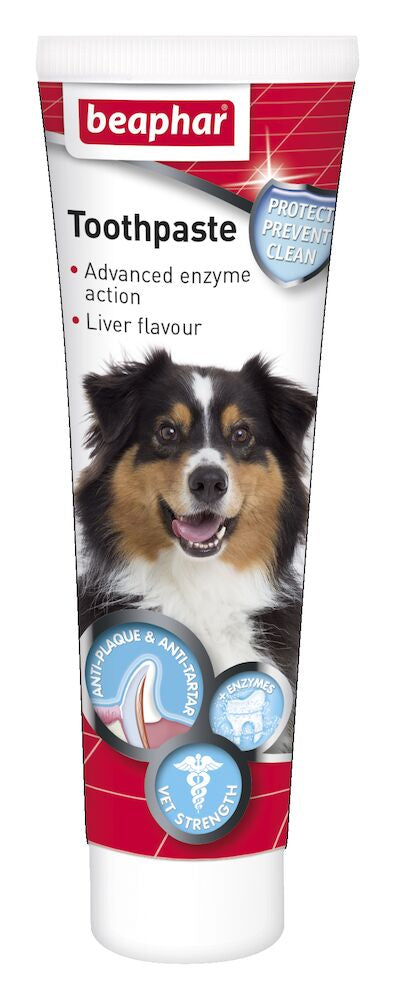 A tube of Beaphar Toothpaste with a picture of a dog on the packaging, indicating that it is for pet dental care.