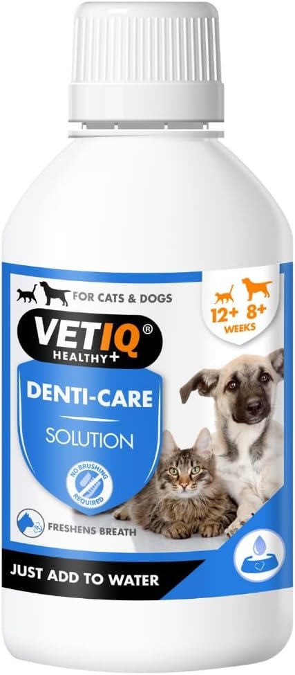 VETIQ Denti-Care Solution 250ml