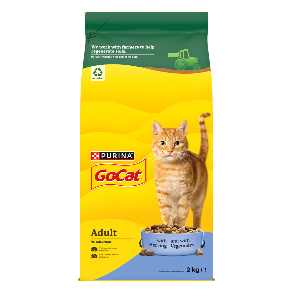 Purina GoCat cat food package with a cat on the label