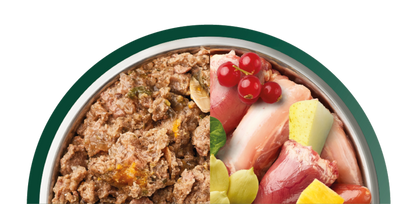 Country Hunter Dog Food Pheasant and Goose with Superfoods 6 x 600g