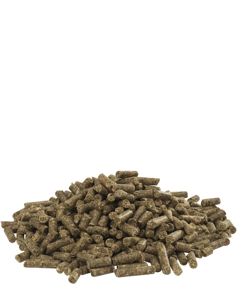 Versele Laga CUNI FIT PLUS Complete For Rabbits 20kg - Free P&P