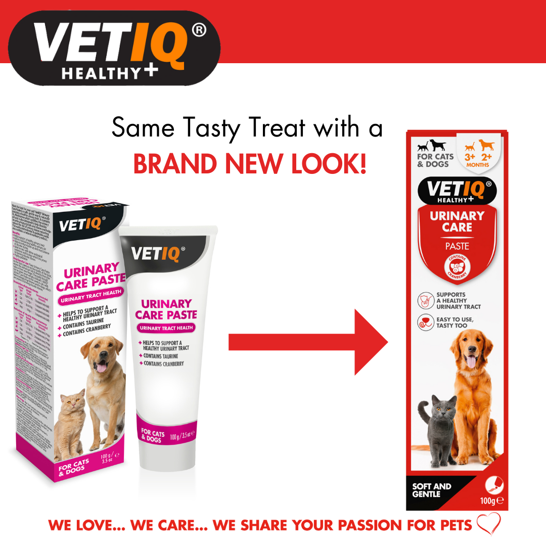 VETIQ Urinary Care Paste For Cats and Dogs 100g