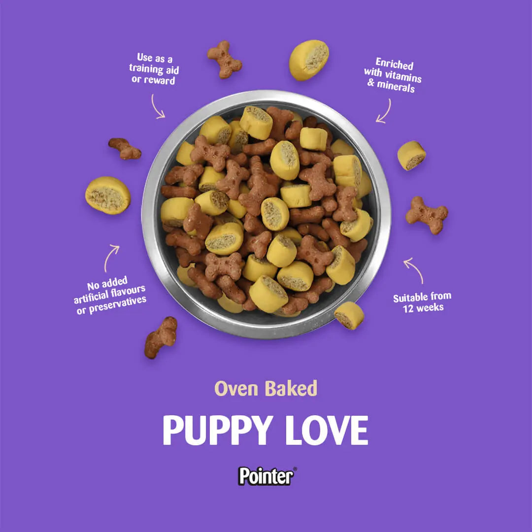 Pointer Puppy Love Biscuits