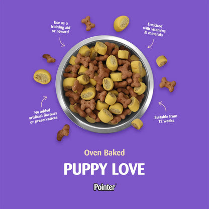 Pointer Puppy Love Biscuits