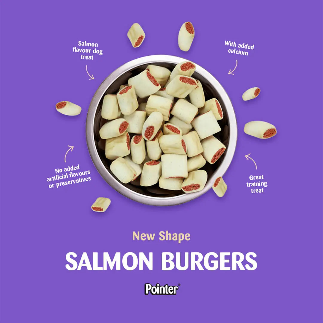 Pointer Salmon Burgers