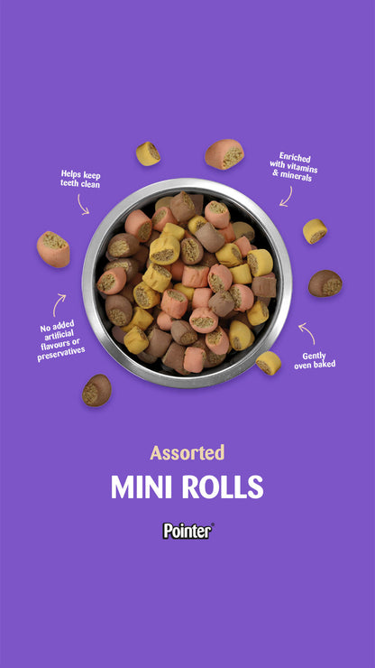 Pointer Assorted Mini Rolls 400g (Case of 6)