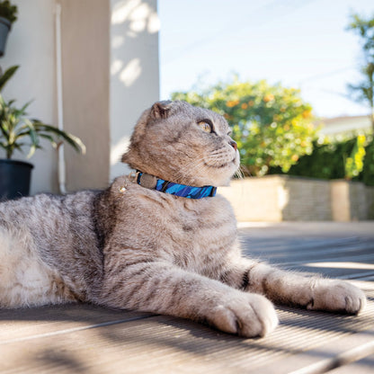 ROGZ Fusion Cat Collar with Break-away safety buckle