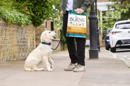 Burns Alert Lamb and Brown Rice 12kg - Buy 2 Save 5%