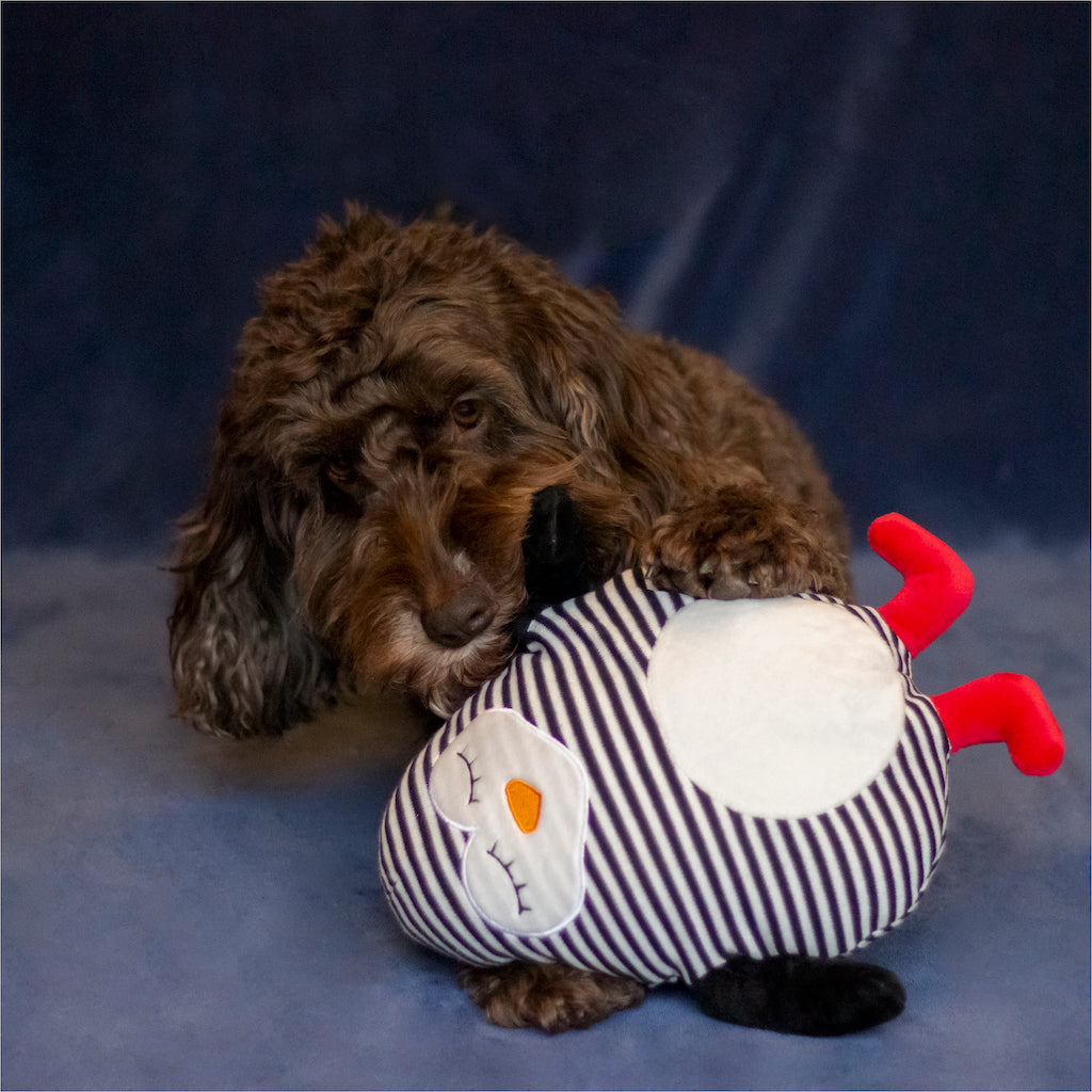 Rosewood Cupid & Comet Stripey Crinkle Penguin for Dogs