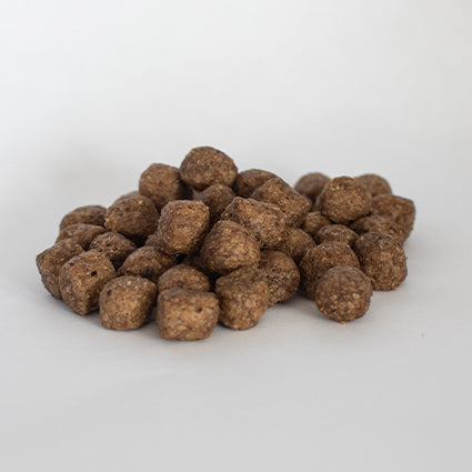 Canagan kibble Clearance