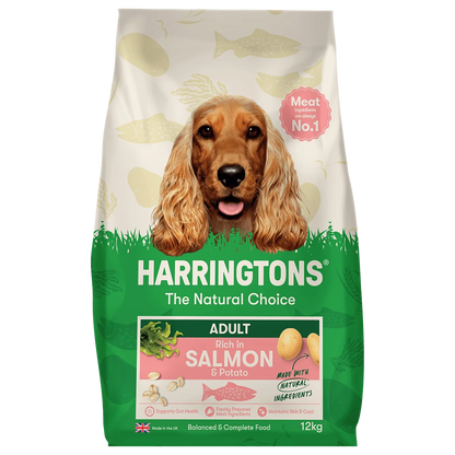 A 12kg bag of Harringtons Adult Rich in Salmon & Potato dog food, featuring a brown Cocker Spaniel on the front, set against a plain white background.