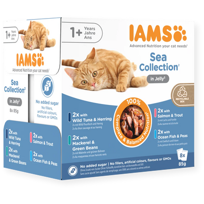 IAMS Wet Food Adult Sea Collection in Jelly 8 x 85g