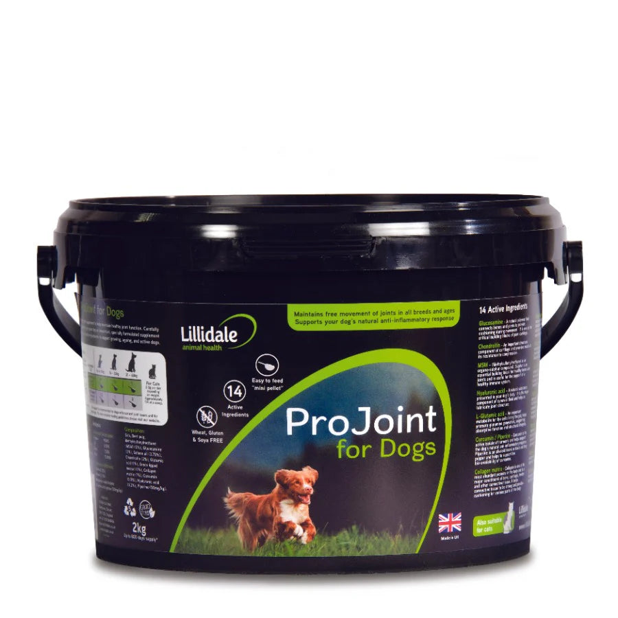 Lillidale ProJoint for Dogs supplement container on a white background