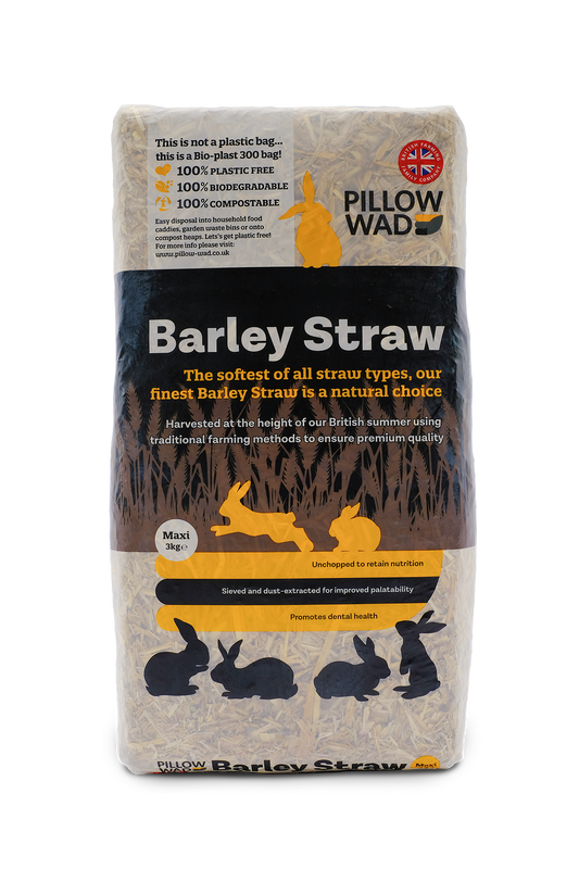 Pillow Wad Maxi-Bale Barley Straw - Approx 3kg