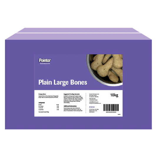 Pointer Plain Large Bones 10kg