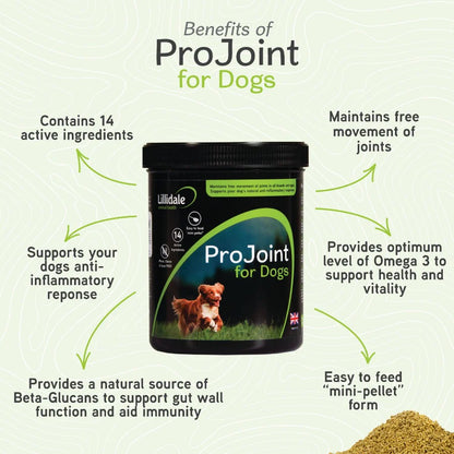Lillidale Projoint 4 Dogs