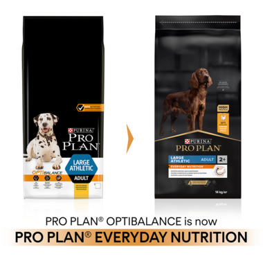 PRO PLAN Large Athletic Everyday Nutrition Chicken Dry Dog Food