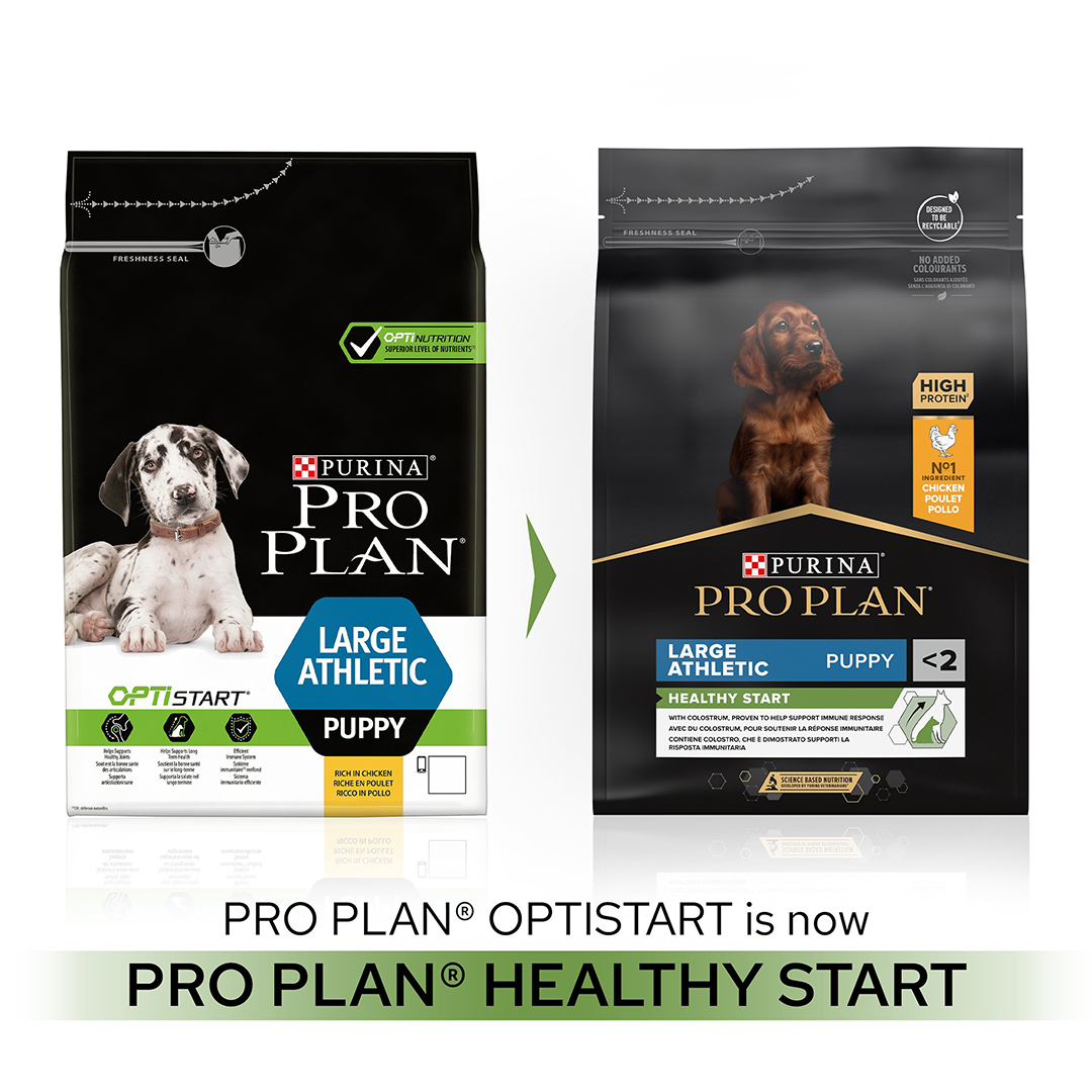 Purina pro plan dog food 2024 large breed