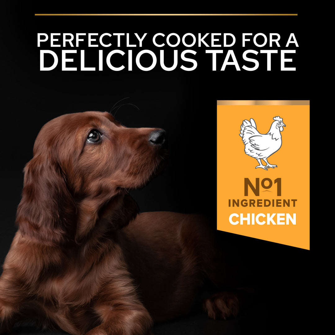 PRO PLAN Large Athletic Puppy Healthy Start Chicken Dry Dog Food