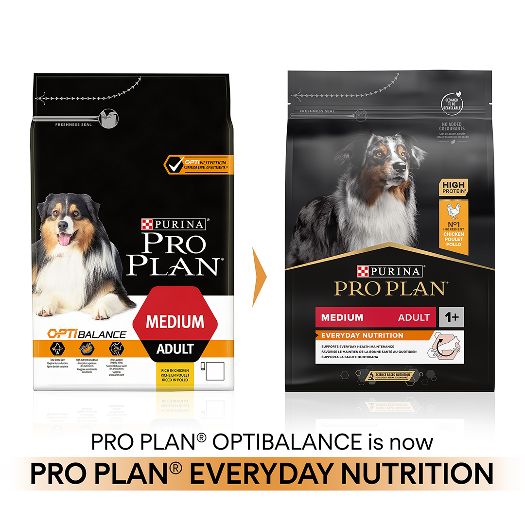 PRO PLAN Medium Everyday Nutrition Chicken Dry Dog Food Time for