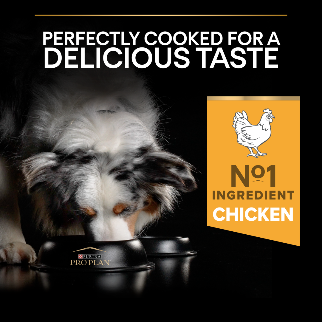 PRO PLAN Medium Everyday Nutrition Chicken Dry Dog Food