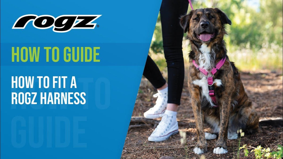 Rogz Utility Explore Harness