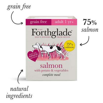 Forthglade Complete Adult Meal Salmon Potato & Veg Grain Free 18 x 395g
