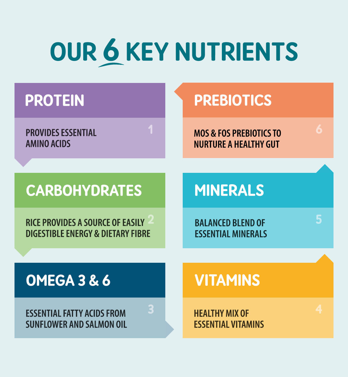 Naturo Tray Senior Dog Turkey Rice & Veg 7 x 400g