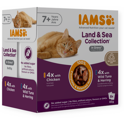 A box of IAMS Land & Sea Collection cat food, 8-pack, featuring orange and white packaging with images of an orange tabby cat and product details for chicken and wild tuna & herring flavors.