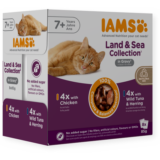 A box of IAMS Land & Sea Collection cat food, 8-pack, featuring orange and white packaging with images of an orange tabby cat and product details for chicken and wild tuna & herring flavors.