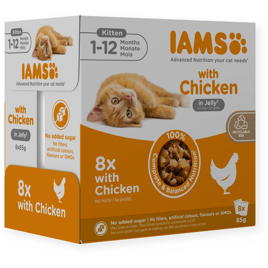 IAMS Wet Kitten Food Delights Kitten Chicken in Jelly 8 x 85g