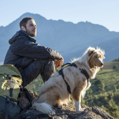 Rogz Utility Explore Harness