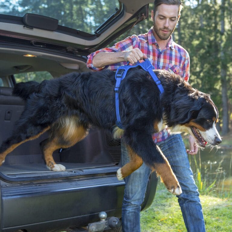 Rogz Utility Explore Harness