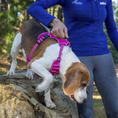 Rogz Utility Explore Harness