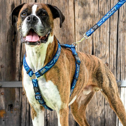 ROGZ Fancy Dress Lead Navy Paw