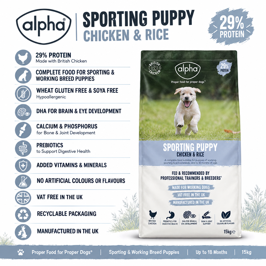 Alpha Sporting Puppy Infographic