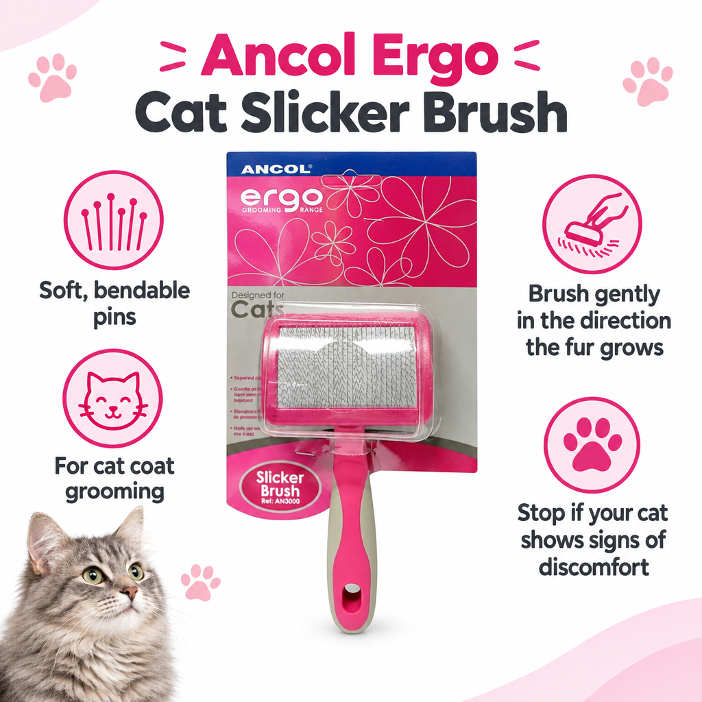 Ancol Ergo Cat Slicker Brush infographic draft