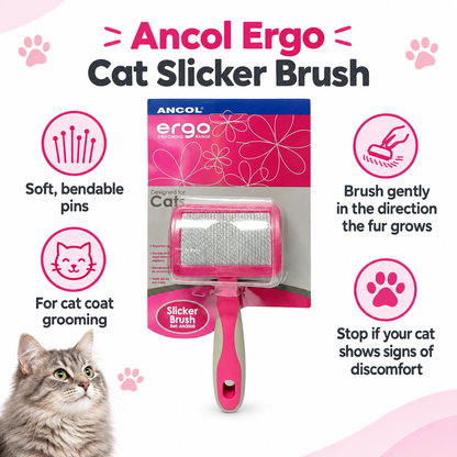 Ancol Ergo Cat Slicker Brush infographic draft