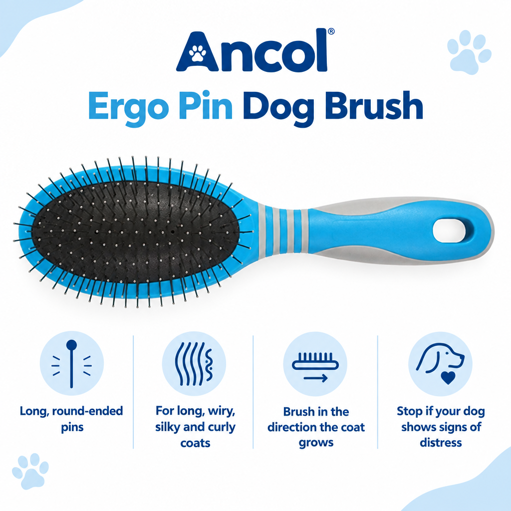 Ancol Ergo Pin Dog Brush infographic draft