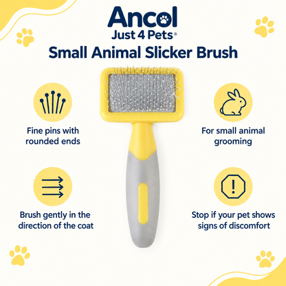 Ancol small animal slicker brush infographic draft