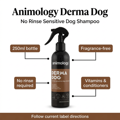 Animology Derma Dog infographic