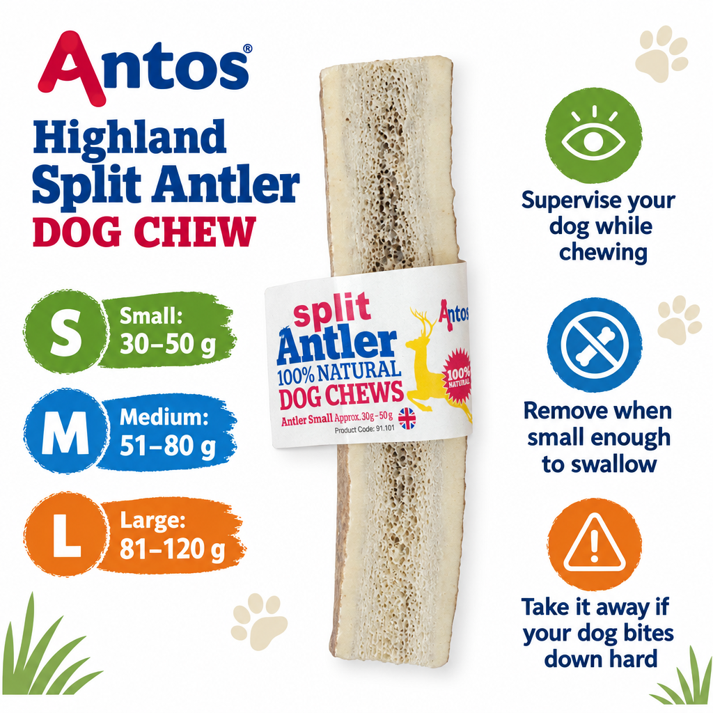 Antos Highland Split Antler infographic draft