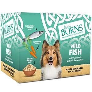 Burns Penlan Tray Adult Dog - Wild Fish