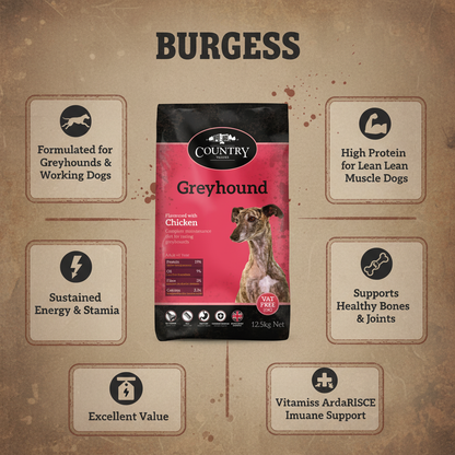 Burgess Country Value Greyhound Infographic