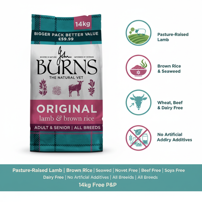 Burns Original Lamb & Brown Rice Infographic