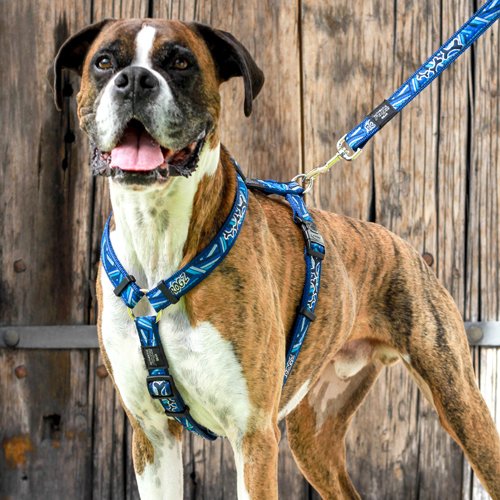 Rogz Fancy Dress Classic Harness Navy Paw