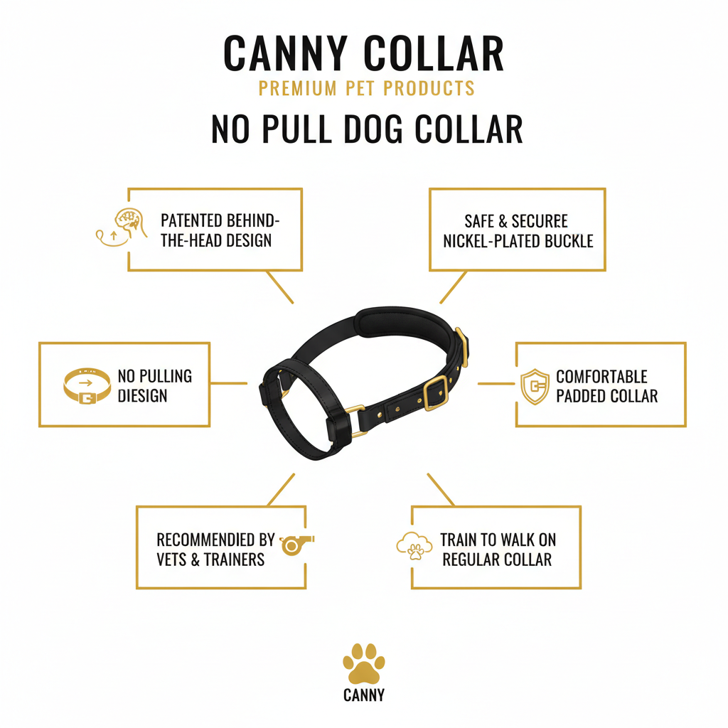 Canny Collar Infographic