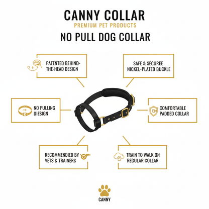 Canny Collar Infographic