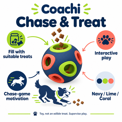 Coachi Chase & Treat feature infographic