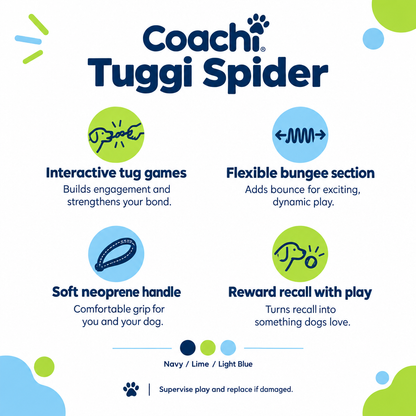 Coachi Tuggi Spider feature infographic